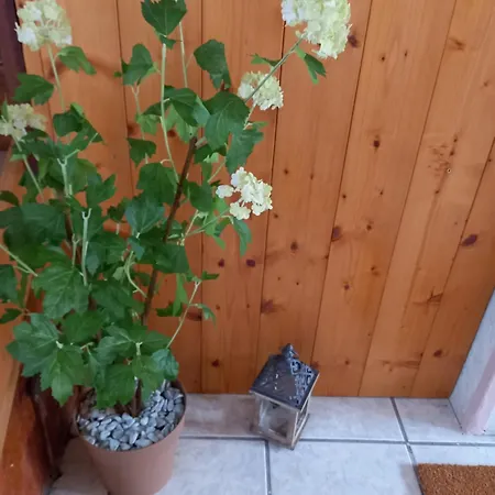 'io E Te' Apartamento